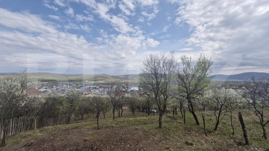 Teren intravilan Viisoara cu panorama asupra orasului. 3000 euro/ar.