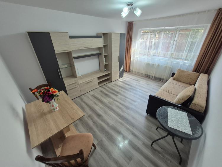 1 Cam--Sagului-5 Min Spitalul Judetean--Mobilat-Parter--67.000 Euro! Negociabil