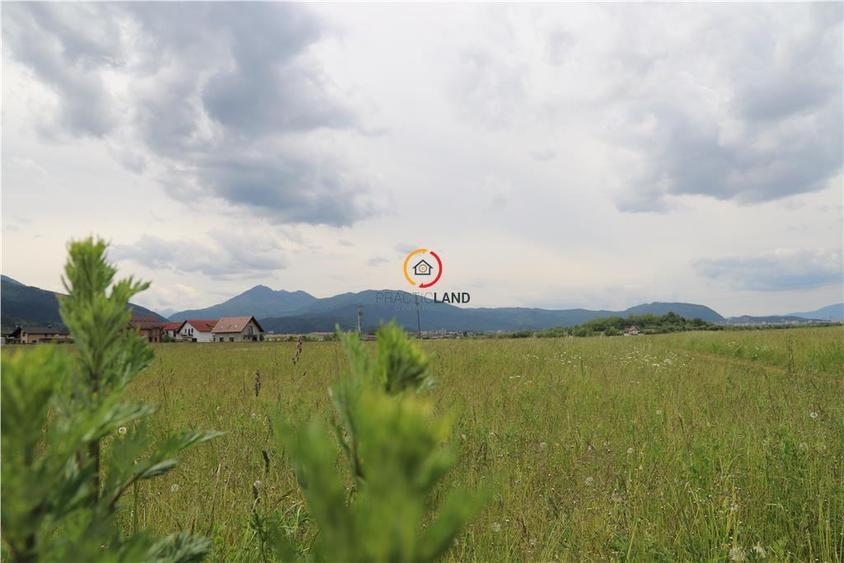 Teren  intravilan13100 mp pentru dezvoltare imobiliara
