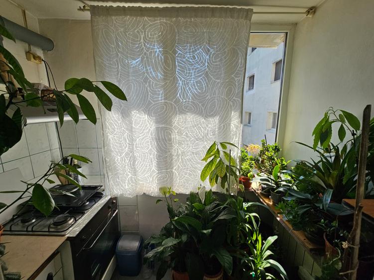 Apartament 2 Camere Herastrau + loc de parcare