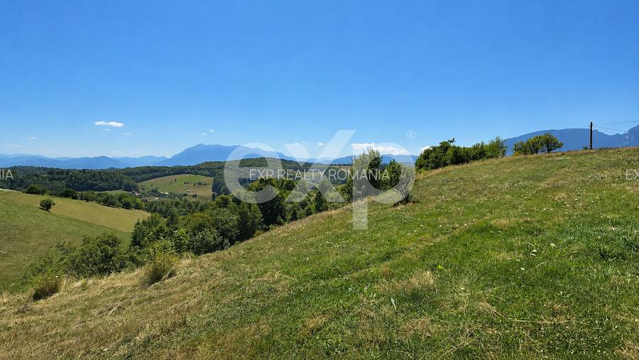 PANORAMA POIANA MĂRULUI | Teren cu potențial de dezvoltare - 5