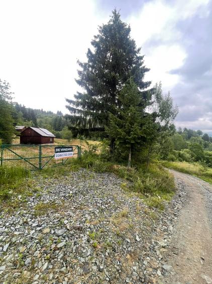 Cabană de vacanță, 60 mp, teren generos de 83 ari, zona Borșa, Maramureș
