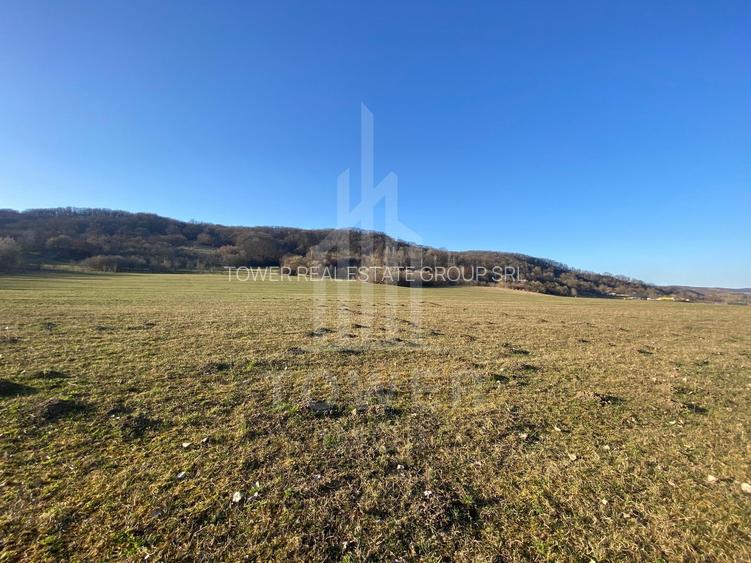 Teren de 7.500 mp de vânzare în Bradu, Avrig-COMISION 0% – lângă râul Olt. - 3
