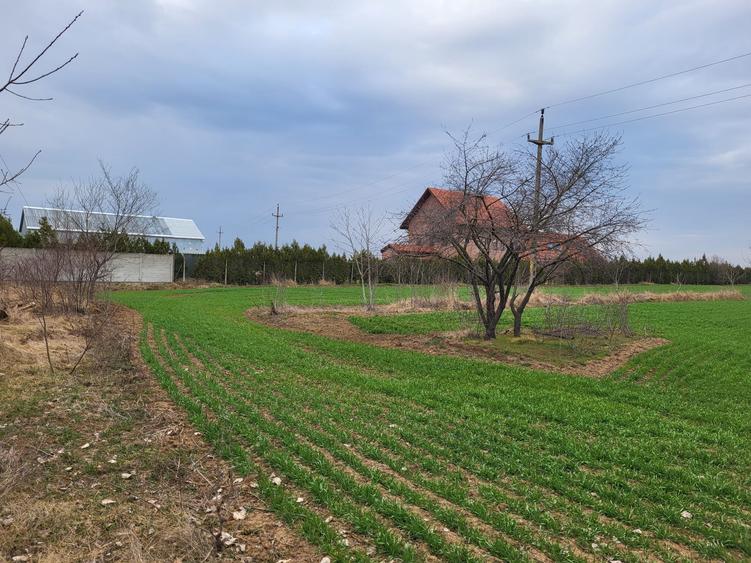VANZARE TEREN INTRAVILAN CU DESCHIDERE DE 20 ML LA DJ SILISTEA SNAGOV