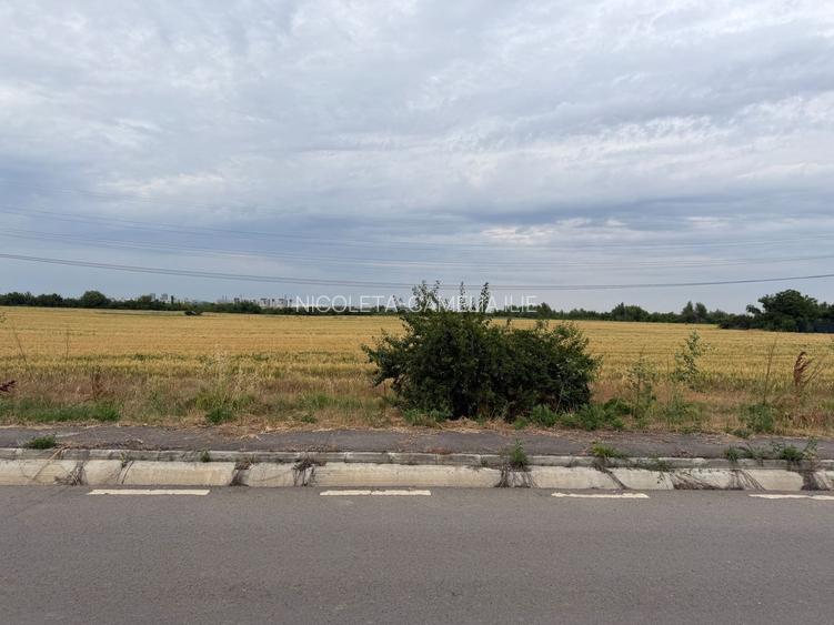 NOU! TEREN INTRAVILAN | LA LIMITA CU SEC 4 | OPORTUNITATI | JILAVA - 13