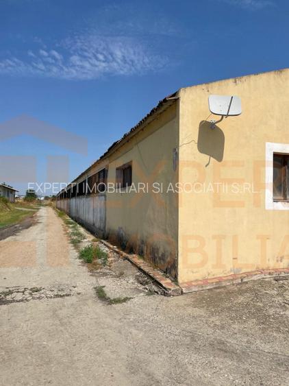 Hală de Vânzare Ovidiu | Teren 3000 mp | Investiție - 12