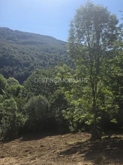 Teren Valea Doftanei,  zona Pe Vale - Baraj Paltinu - 5