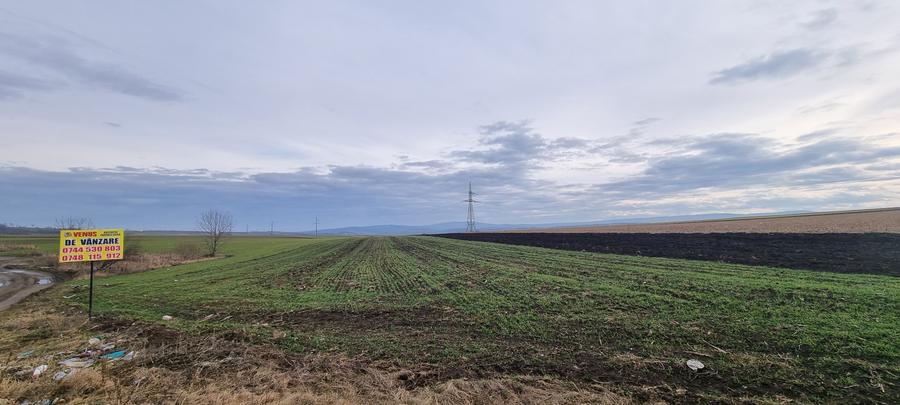 Teren zona Zaicesti la strada