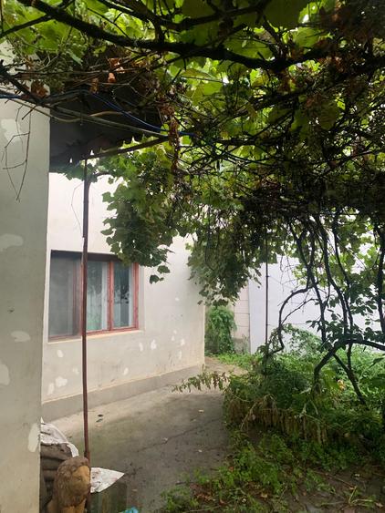 Pipera Vanzare Casa 125 000eur