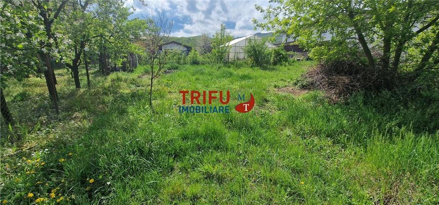 Teren de vanzare  zona Micesti