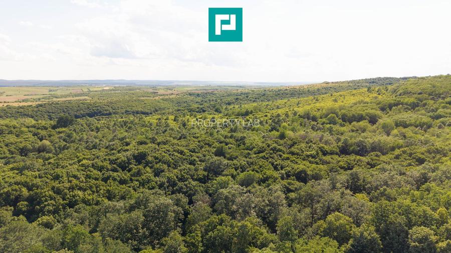 TEREN AGRICOL EXTRAVILAN  22.900 MP LIPOVA - 7