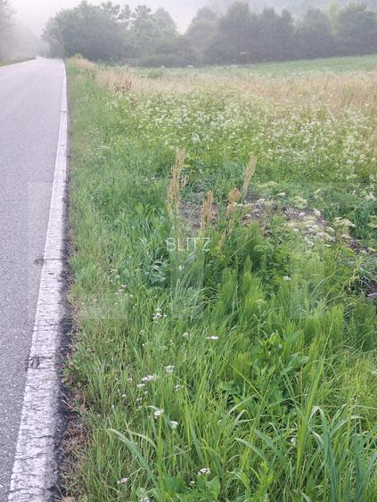 Teren de vanzare, 5800 mp, zona Jena - 2