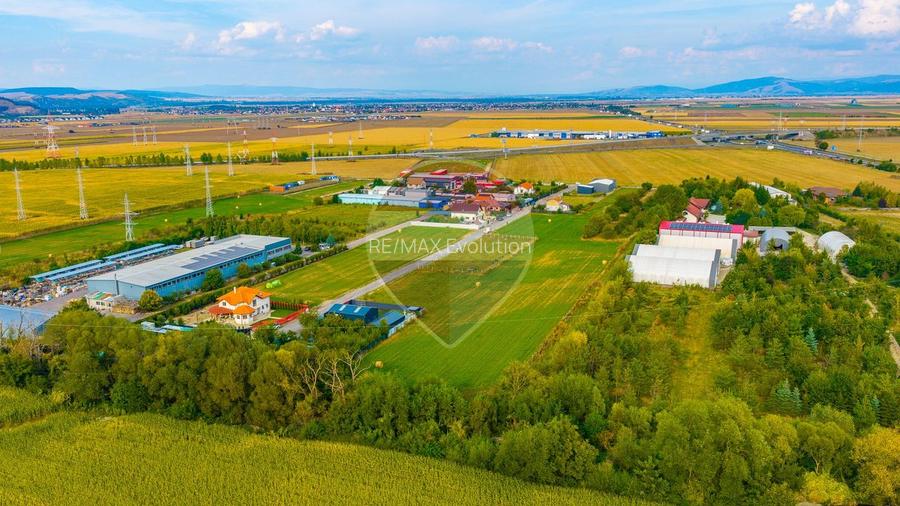 Teren intravilan 11.769 mp | Langa Centura BV – Str. Livezii | Oneves - 8