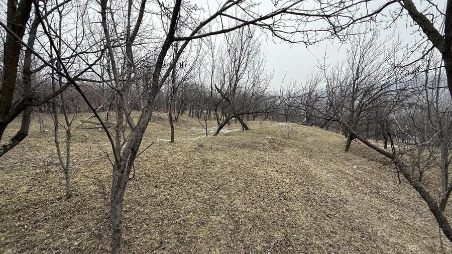 Teren 4652 mp cu izvor pe el, Lunca Mare, lângă păstrăvăria Doftana