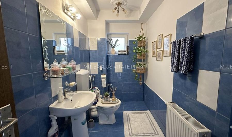 Casa de vanzare – Stefanesti Arges - 21