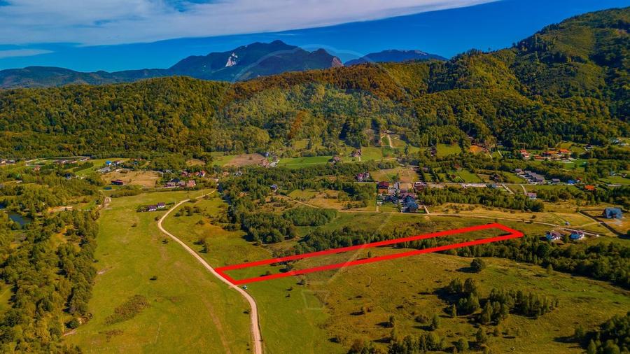 Teren 1,574mp Rasnov, Strada Valea Panicelului- varf de deal