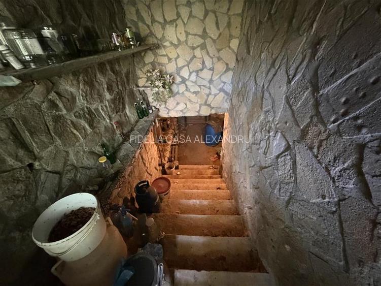 Case vile de vânzare Vișan Iași - 12