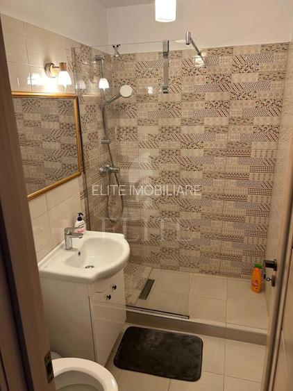 Apartament 2 camere în zona  Iulius Mall - 5