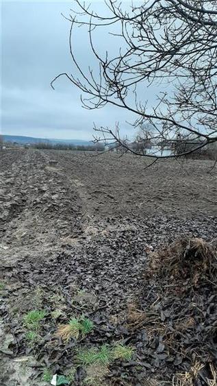 De vanzare, teren intravilan 11200 mp Nazna , Mures