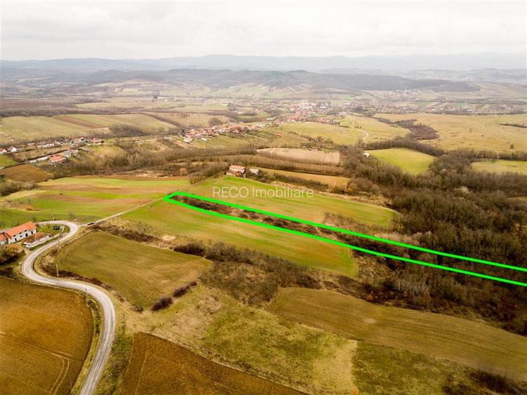 RECO Teren intravilan in Ceica Bihor - 6