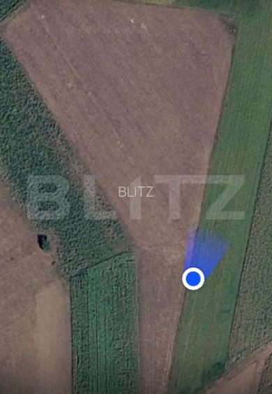 Teren extravilan, 3900 mp, zona Cumparatura - 2