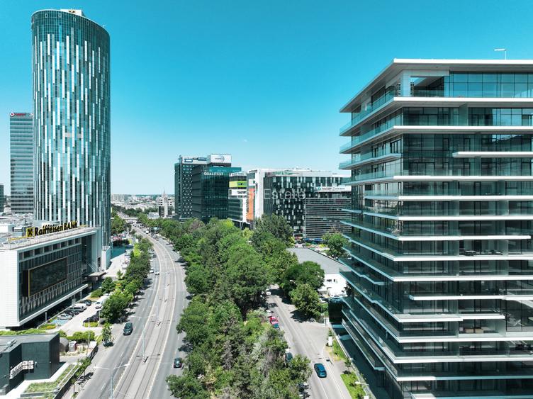 4 camere 215 mp, tavane de 3,4 m, One Floreasca Towers - 15