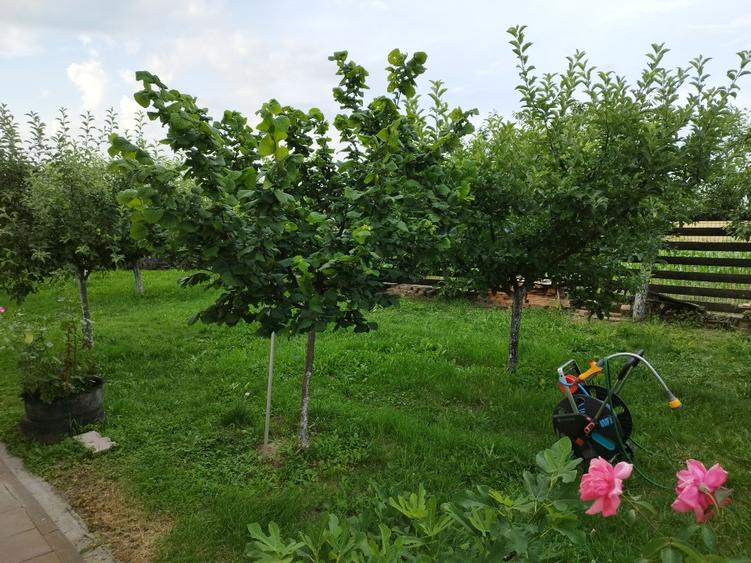 Casa P+1 ,u garaj , foișor și teren generos de 4800mp