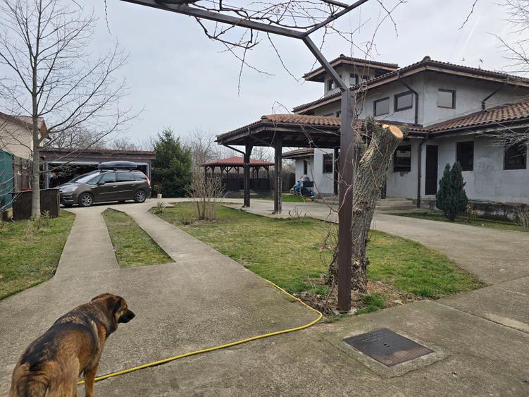 Casa individuala Branesti-Vadul Anei