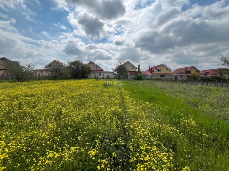 Teren 2117 mp în Malu Mare, cadru natural cu pârâu - 5