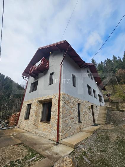 Casa cu 6 camere, Liniște, Natură și Spațiu, Vadul Motilor - 3