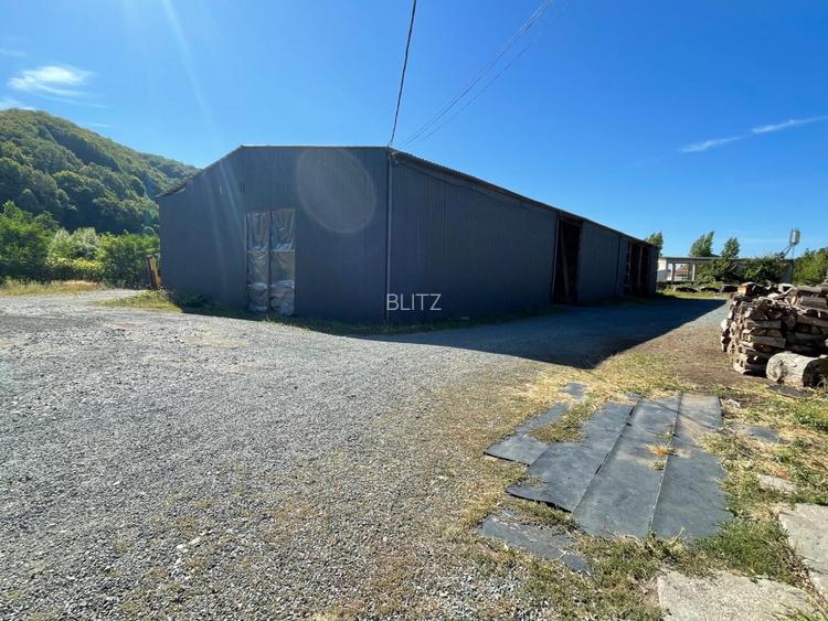 Platforma industriala, 17.000 mp, zona Ferneziu - 5