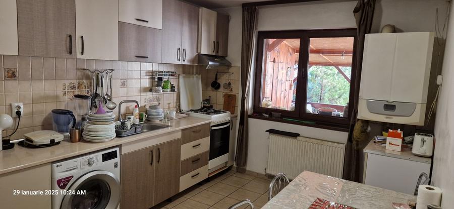 Casa Colentina- Andronache