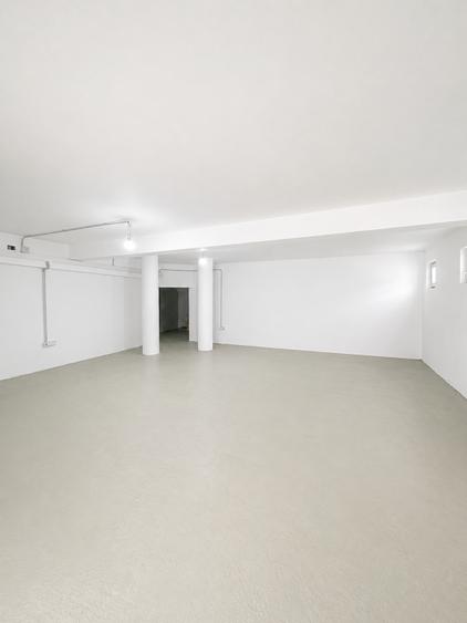 Casa individuala dumbravita
