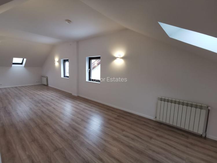 Vila de inchiriat cu vedere lac pentru rezidenta/birouri/clinica/comercial - 7