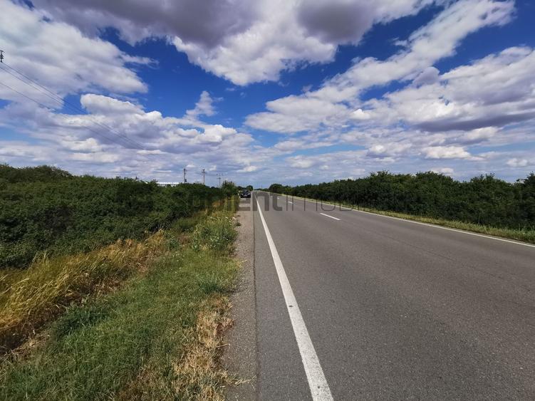 De vânzare teren extravilan, 11,600 mp, Salonta