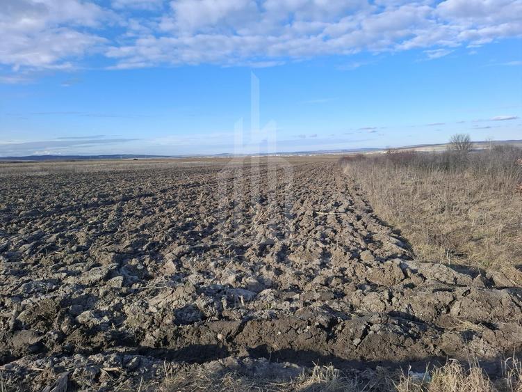 Teren Intravilan de Vânzare – 4300 mp – Cristian, zona Aeroport