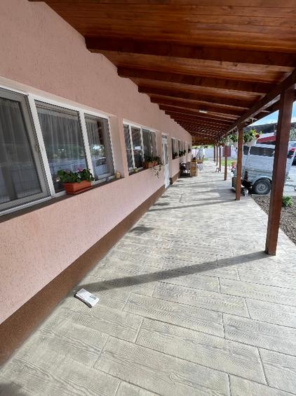 🏡 Casă de vânzare în Iecea Mare, județul Timiș