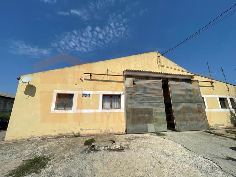 Hală de Vânzare Ovidiu | Teren 3000 mp | Investiție