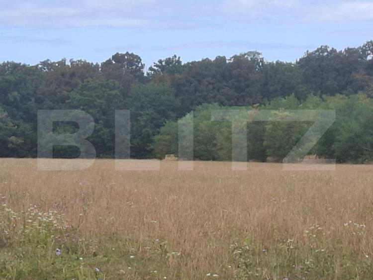 Padure de vanzare, 0,75 hectare, zona Suta Seaca