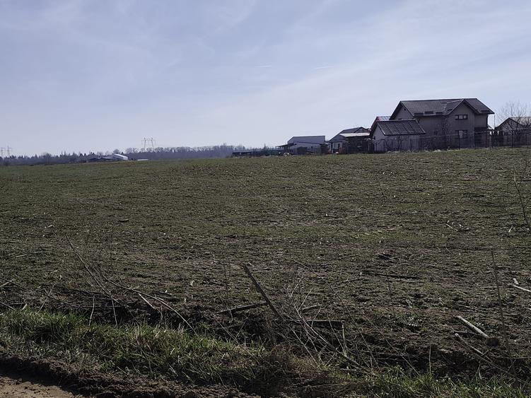 FARA COMISIOANE in Sabareni teren in suprafata de 23200mp gaze curent la teren