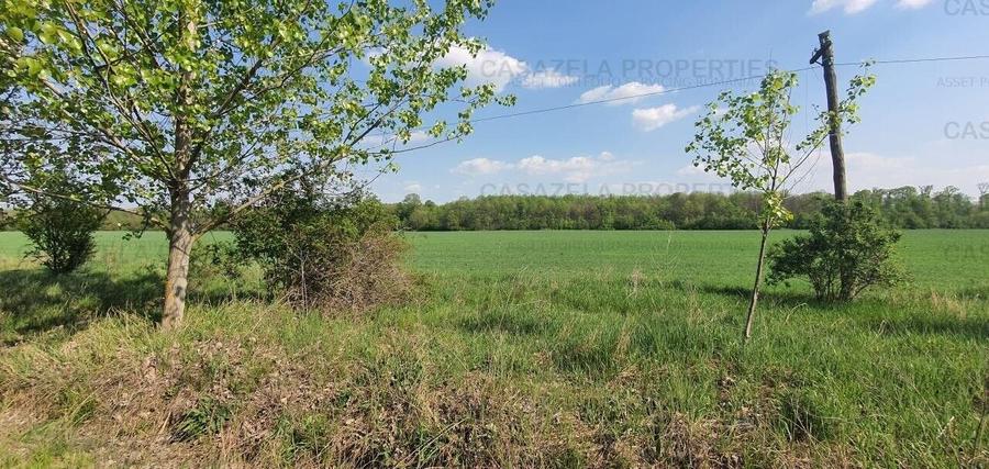 3 loturi de teren langa padure langa lacul Colacu, Dambovita