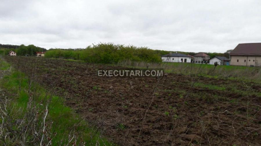 SNAGOV SAT - Teren- 2410m² - Toate utilitatile - Zona de Vile