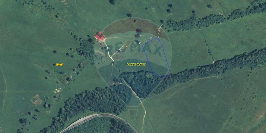 Teren 10,000mp Codlea / DN 1