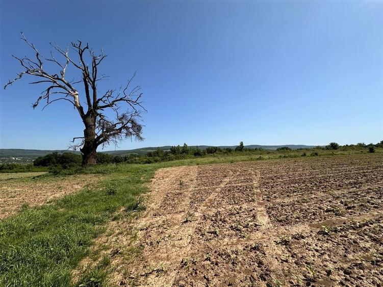 Teren langa padure pentru casa, Cercu, Barnova, de la 500mp la 4000mp