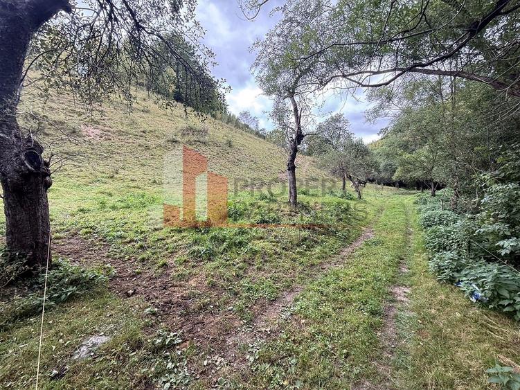 Teren de investiție în Moieciu, lângă Castelul Bran – 11.381 mp, vedere Bucegi