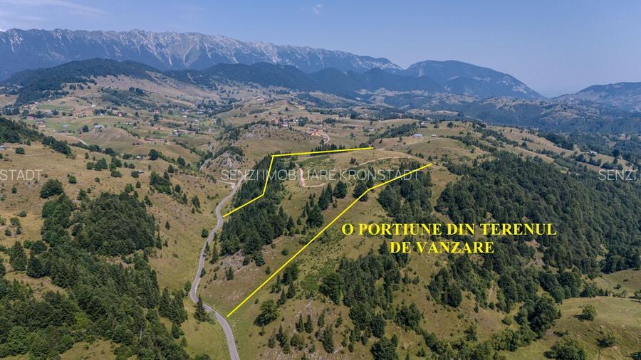 Teren cu panorama unica si incredibila in Sirnea - 3