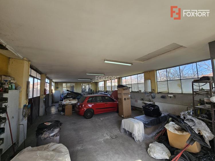 Oportunitate afacere: Spatiu industrial + Casa de locuit - Bogdanestilor - 30