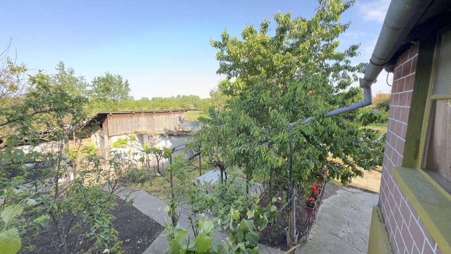 Casă 4 camere, Teren 3.862 mp Str. Traian Nr.99 - Carei - Comision 0% cumpărător