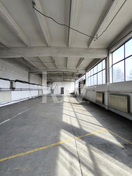Oportunitate I Hală Industrială  I Acces Rapid Ocolitoare - 5