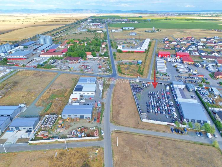 Teren intravilan 4,535mp Vladimirescu - 6